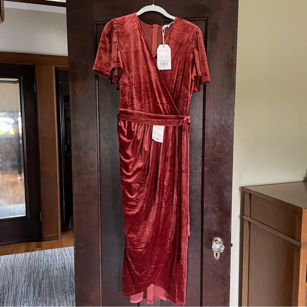 Ivy City Co Lillie Dress Brick Velvet Large NWT